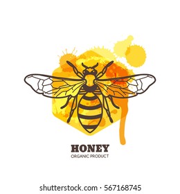 Honey label, emblem, tag design elements. Vector hand drawn outline honeybee on watercolor honeycombs. Bee and liquid honey isolated on white background. Concept for organic farming products package