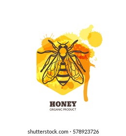 Honey label, emblem, tag design elements. Vector hand drawn outline honeybee on watercolor honeycombs. Bee and liquid honey isolated on white background. Concept for organic farming products package.