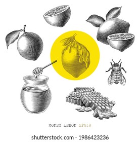 Honey lemon elememt hand drawn vintage engraving style black and white clip art isolated on white background