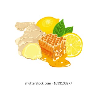 Honey, lemon and ginger isolated on white background. Vector illustration of healthy foods in cartoon flat style.