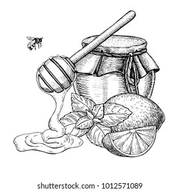 Honey With Lemon And Mint Vector Drawing. Jar, Wooden Spoon, Honey Drop, Bee, Hearb Leaf And Fruit Slice Sketch. Engraved Illustration With Tea Ingredient, Alternative Medicine. Label, Icon, Packaging