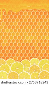 Honey and lemon slice frame illustration