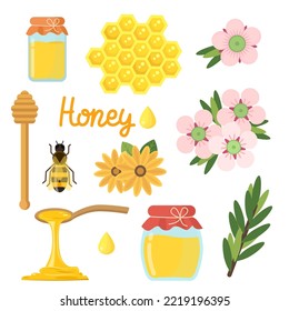 Honey of manuka. Set of bee, honeycomb, jar and flowers. Vector flat illustration. Design elements.