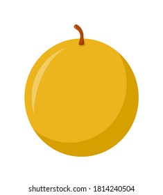 Honey melon isolated on white background, flat design, fruit vector illustration