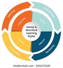 Honey and Mumford Learning Styles Model infographic vector