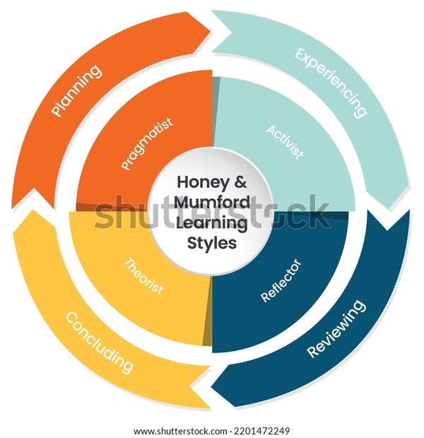 Honey Mumford Learning Styles Model Infographic Stock Vector (Royalty ...