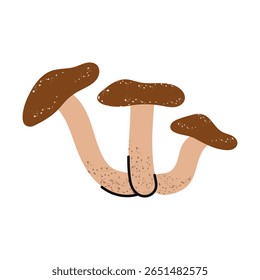 Honey mushroom. Stylized autumn mushroom. 
