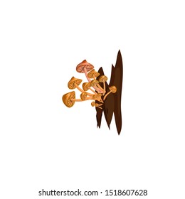 Honey mushroom vector illustration in flat cartoon style