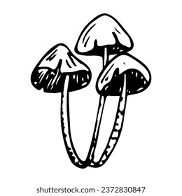 Honey mushrooms doodle. Collecting forest food. Hand drawn sketch.