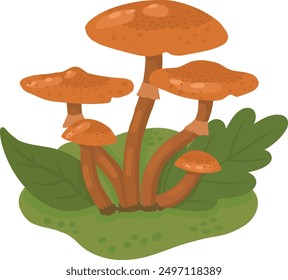 Honey mushrooms in a forest clearing. A color image of forest mushrooms on a white background. Mushrooms. Vector illustration for children.