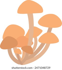 Honey mushrooms grow in the forest in autumn.