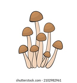 honey mushrooms hand drawn for design 