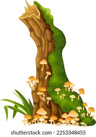 Honey mushrooms, moss  on logs, stumps. Cartoon oak in lichen and toadstools in swamp forest. Broken tree in tropical damp jungle. Isolated vector element on white background.