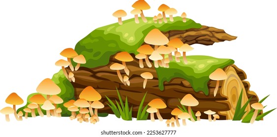 Honey mushrooms, moss  on logs, stumps. Cartoon oak in lichen and toadstools in swamp forest. Broken tree in tropical damp jungle. Isolated vector element on white background.