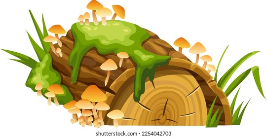 Honey mushrooms, moss  on logs, stumps. Cartoon oak in lichen and toadstools in swamp forest. Broken tree in tropical damp jungle. Isolated vector element on white background.