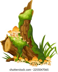 Honey mushrooms, moss  on logs, stumps. Cartoon oak in lichen and toadstools in swamp forest. Broken tree in tropical damp jungle. Isolated vector element on white background.