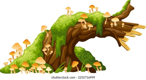 Honey mushrooms, moss  on logs, stumps. Cartoon oak in lichen and toadstools in swamp forest. Broken tree in tropical damp jungle. Isolated vector element on white background.