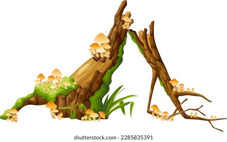 Honey mushrooms, moss  on logs, stumps. Cartoon oak in lichen and toadstools in swamp forest. Broken tree in tropical damp jungle. Isolated vector element on white background.