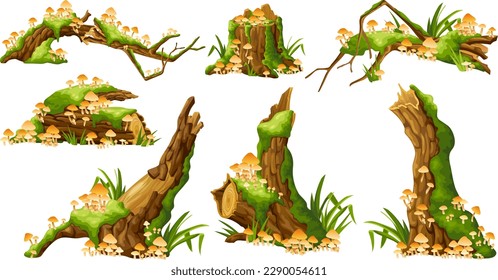 Honey mushrooms, moss  on logs, stumps. Cartoon oak in lichen and toadstools in swamp forest. Broken tree in tropical damp jungle. Isolated vector element on white background.