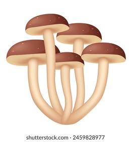 Honey mushrooms. Vector 3D illustration isolated on white background.