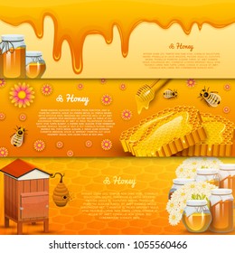 Honey or natural farm product. beekeeping or garden. Health, organic sweets, medicine illustration, agriculture. food in honeycomb cooked by bees. background for text. Card or poster for web site.