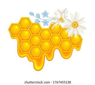 Honey omb with Hexagonal Wax Cells and Flowers Vector Illustration