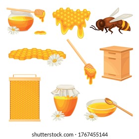 Honey omb with Hexagonal Wax Cells and Glass Jar Poured with Honey Vector Set