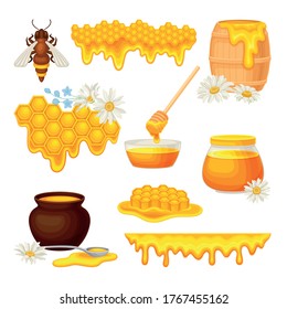 Honey omb with Hexagonal Wax Cells and Glass Jar Poured with Honey Vector Set