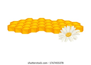 Honey omb with Hexagonal Wax Cells and Flowers Vector Illustration