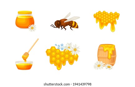 Honey omb with Hexagonal Wax Cells and Glass Jar Poured with Honey Vector Set