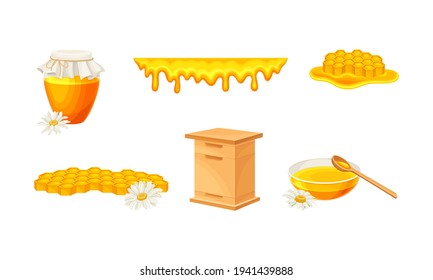 Honey omb with Hexagonal Wax Cells and Glass Jar Poured with Honey Vector Set