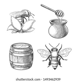 Honey pot and flower, barrel and bee engravings. Beekeeping and flight keeping etching elements, hand drawn honey plant and honeybee, jug with dipper and wood cask