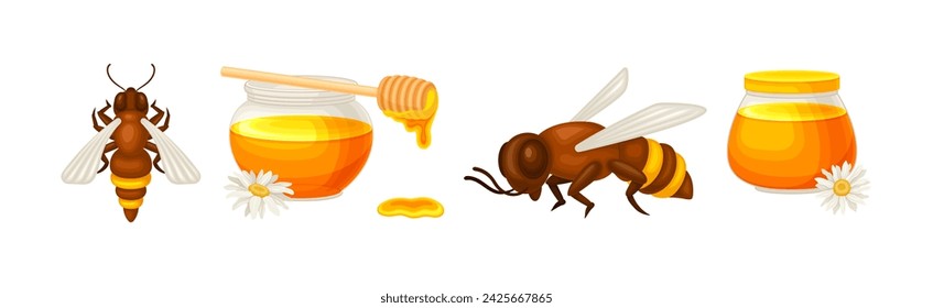 Honey Product with Bee Insect and Glass Jar Vector Set