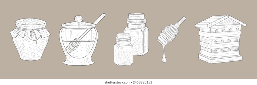 Honey Product and Element Hand Drawn Vector Set