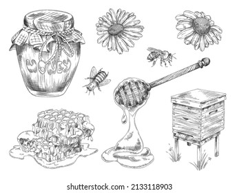 Honey production and apiary items set, hand drawn engraving vector illustration isolated on white background. Collection of drawings relating to natural organic honey.