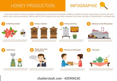 Honey production process stages or steps in infographic form. Bees or honey wasps collecting nectar from flowers, beekeeper pitching it and deliver to filling base for caramelizing by cold