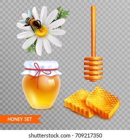 Honey realistic set on transparent  background with two pieces of honeycombs wooden dipper stick glass jar of honey and daisy flower with sitting bee isolated vector illustration  