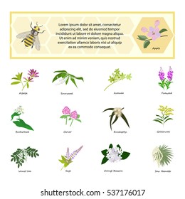 Honey set for banner, flyer, exhibitions, posters. Flowers, bees and honeycomb. Hand drawn design element. Place for text. eps10 vector