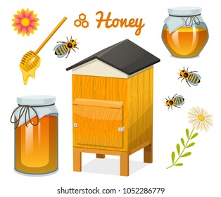 Honey set, bee and hive, spoon and honeycomb, hive and apiary. natural farm product. beekeeping or garden, flower chamomile. Health, organic sweets, medicine illustration, agriculture.