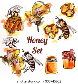 Honey Set Or Collection Elements Bees Comb  And Honey In Watercolor Style