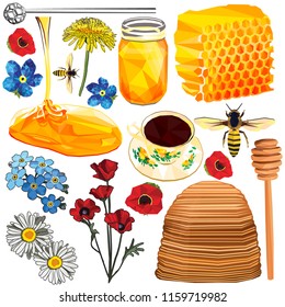 Honey set colorful low poly and hand drawn designs isolated on white background. Vector illustration of natural vegan sweetener in modern style. Full sweet honey collection.