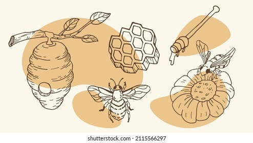 Honey set in doodle style with bees, beehive, honeycomb and flower. Isolated hand drawn illustration.