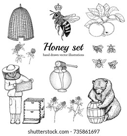 Honey set. Hand drawn vector illustrations