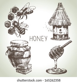 Honey Set. Hand Drawn Vintage Illustrations	