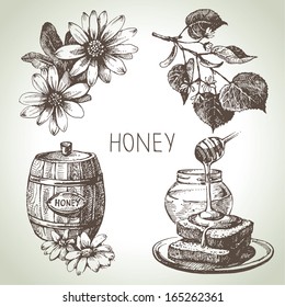 Honey set. Hand drawn vintage illustrations