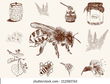 Honey Set. Hand Drawn Vintage Illustrations