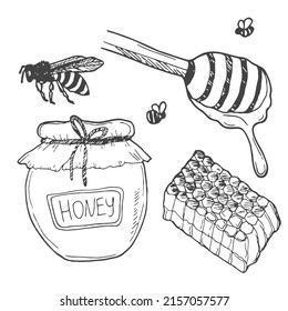 Honey set. Hand-drawn black doodle drawing. Vector illustration. Line art sketch of honey concept