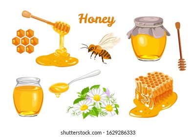 Honey set. Honeycombs, bee, honey in glass  jar, wooden honey dipper, honey in metal spoon and flowers isolated on white background. Vector illustration of organic natural sweets in cartoon flat style