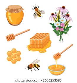 Honey set. Honeycombs, bee, honey in glass  jar and flowers isolated on white background. Vector illustration of organic natural sweets in cartoon style