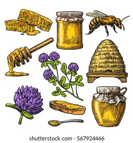 Honey set. Jar, bee, hive, clover, spoon, bee, bread and honeycomb. Vector vintage color engraved illustration. Isolated on white background.